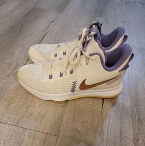Nike Mens Lebron Witness 5 Summit White Bronze Basketball Shoes  CQ9380-102